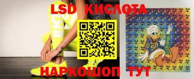 ПСИЛОЦИБИНОВЫЕ ГРИБЫ Кулебаки