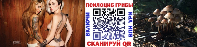 Псилоцибиновые грибы GOLDEN TEACHER  ОМГ ОМГ зеркало  Ханты-Мансийск 