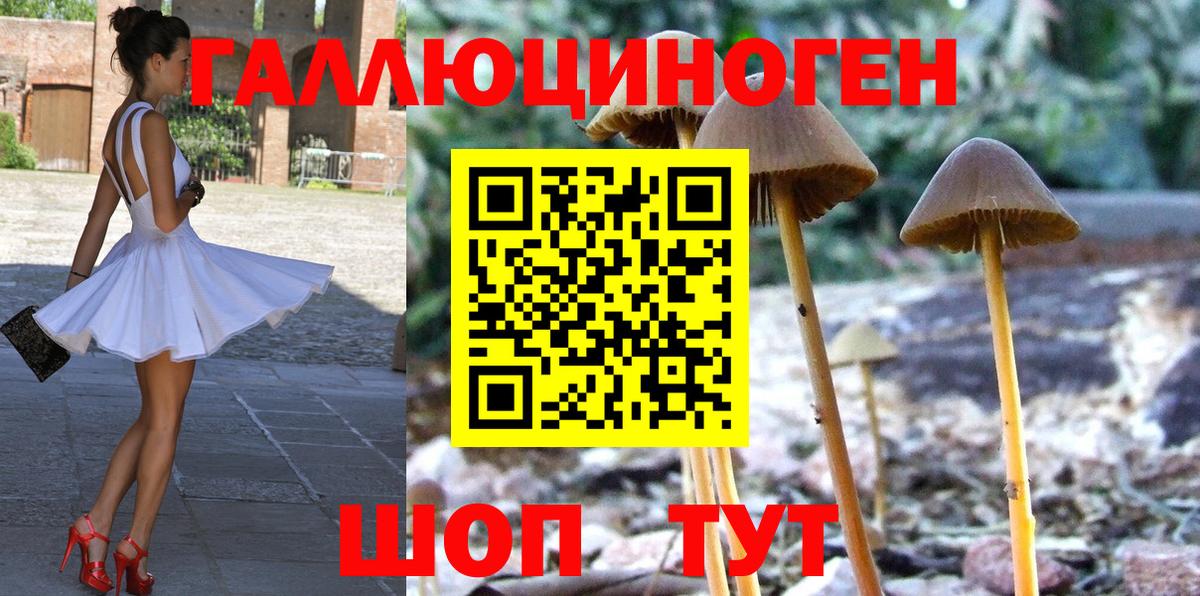 Псилоцибиновые грибы Cubensis  Ханты-Мансийск 